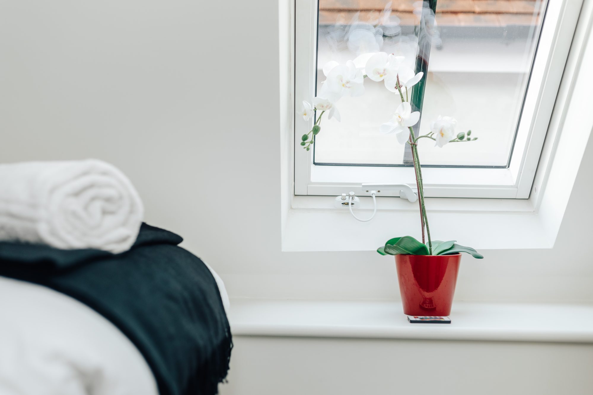 Bedroom with fresh towels and an orchid on the windowsill